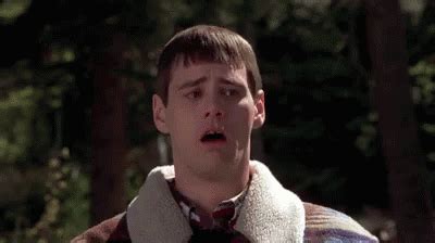 Dumb and dumber vomit gif. Things To Know About Dumb and dumber vomit gif. 